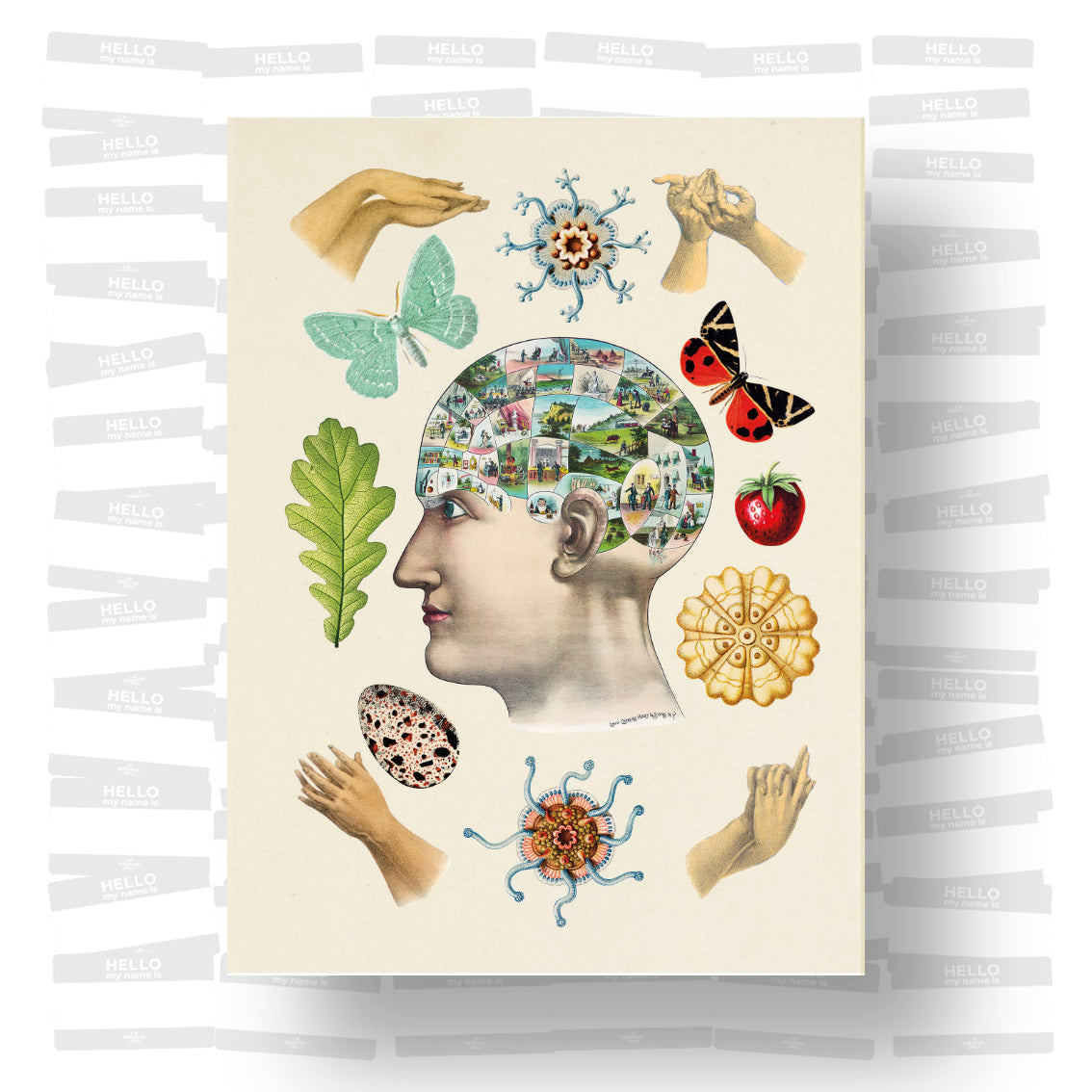 The Antiquarian Sticker Book