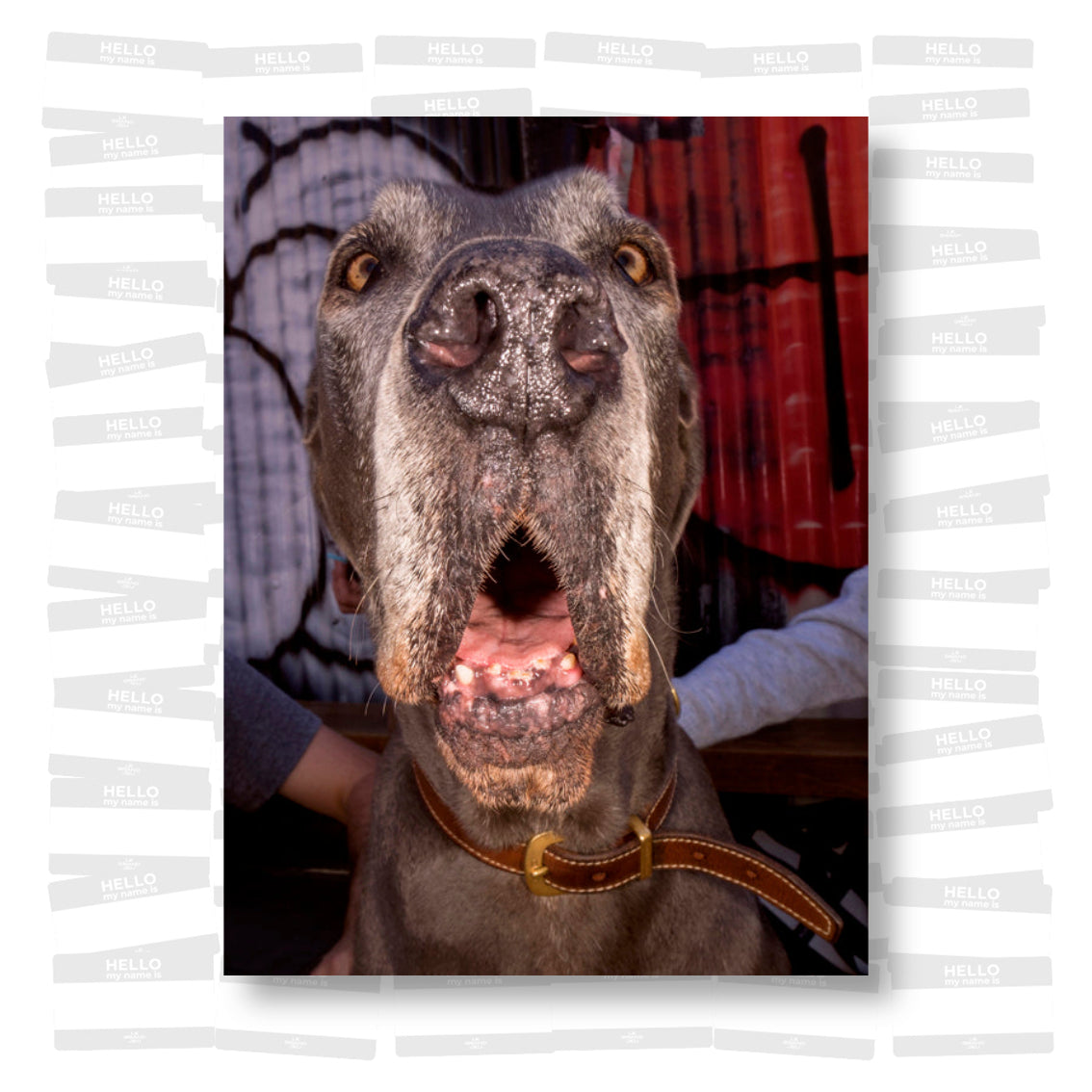 Dougie Wallace - Well Heeled