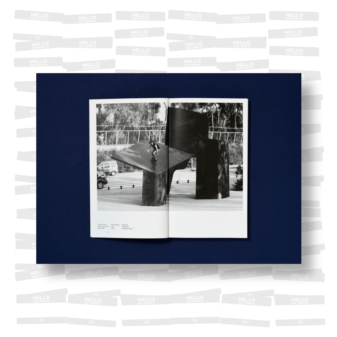 Raphaël Zarka - Riding Modern Art