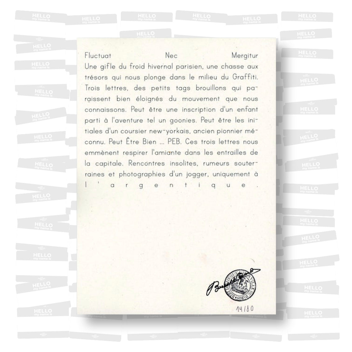 Fluctuat Nec Mergitur