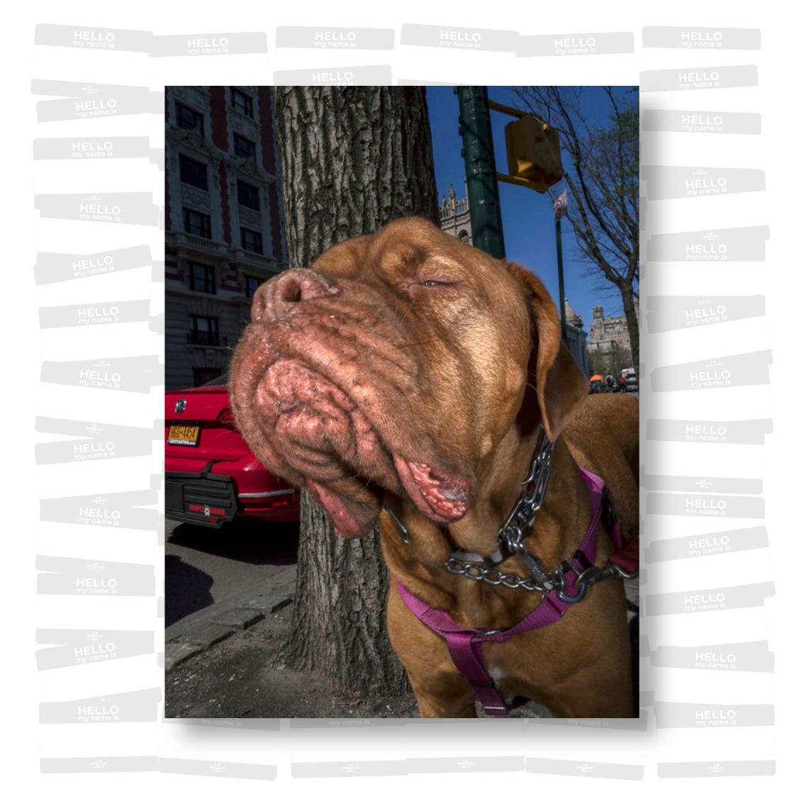 Dougie Wallace - Well Heeled