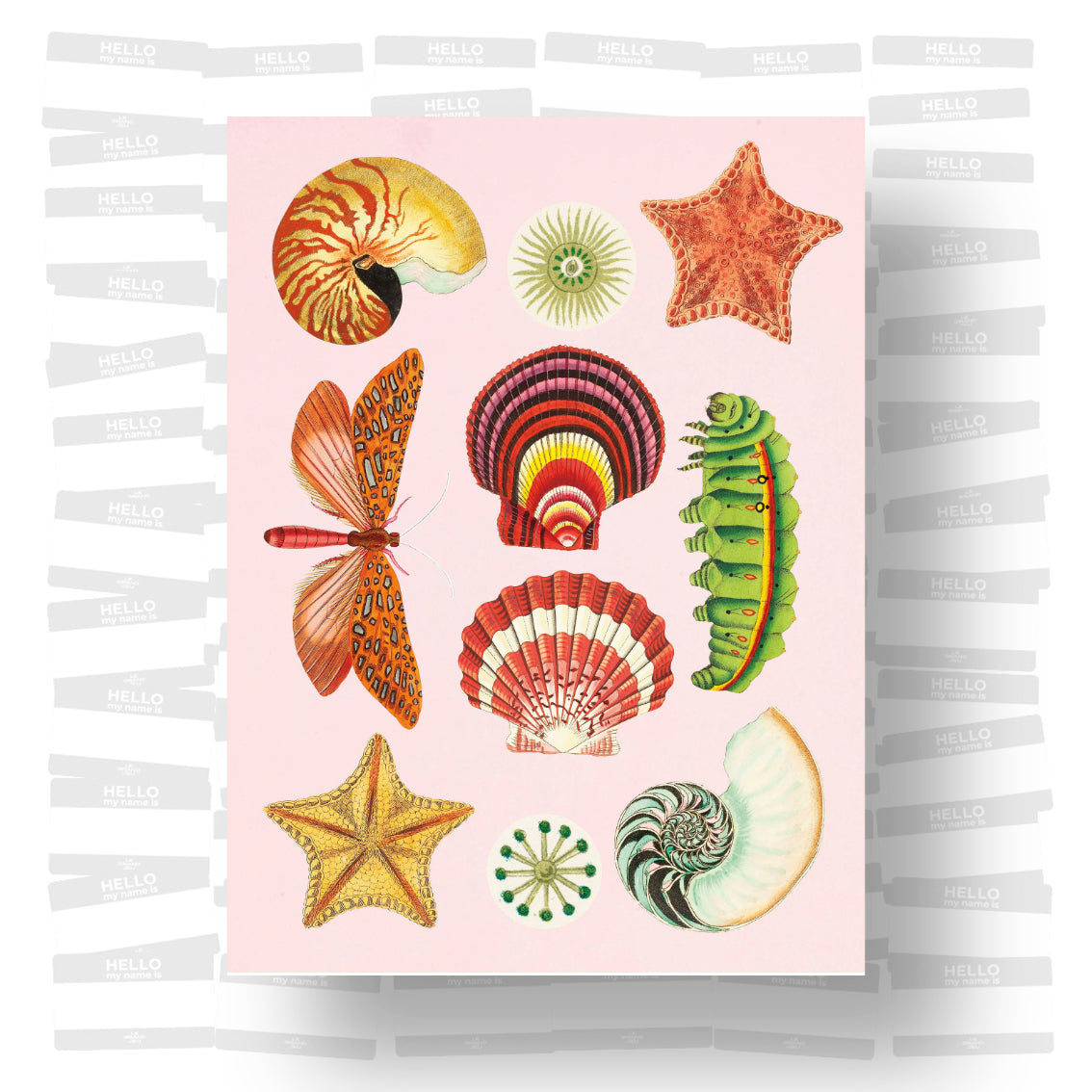 The Antiquarian Sticker Book