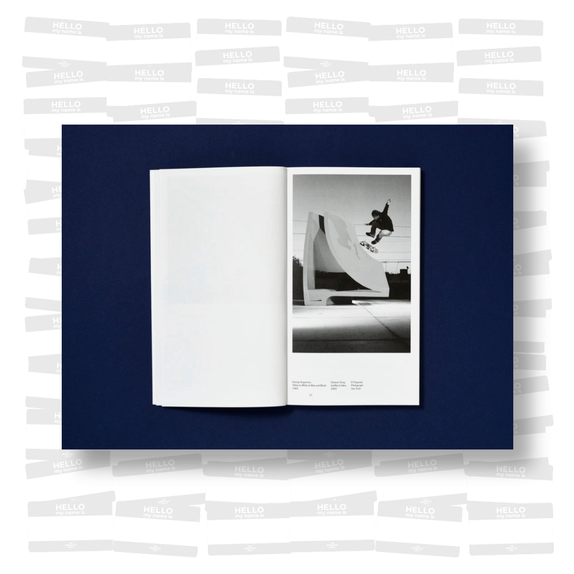 Raphaël Zarka - Riding Modern Art