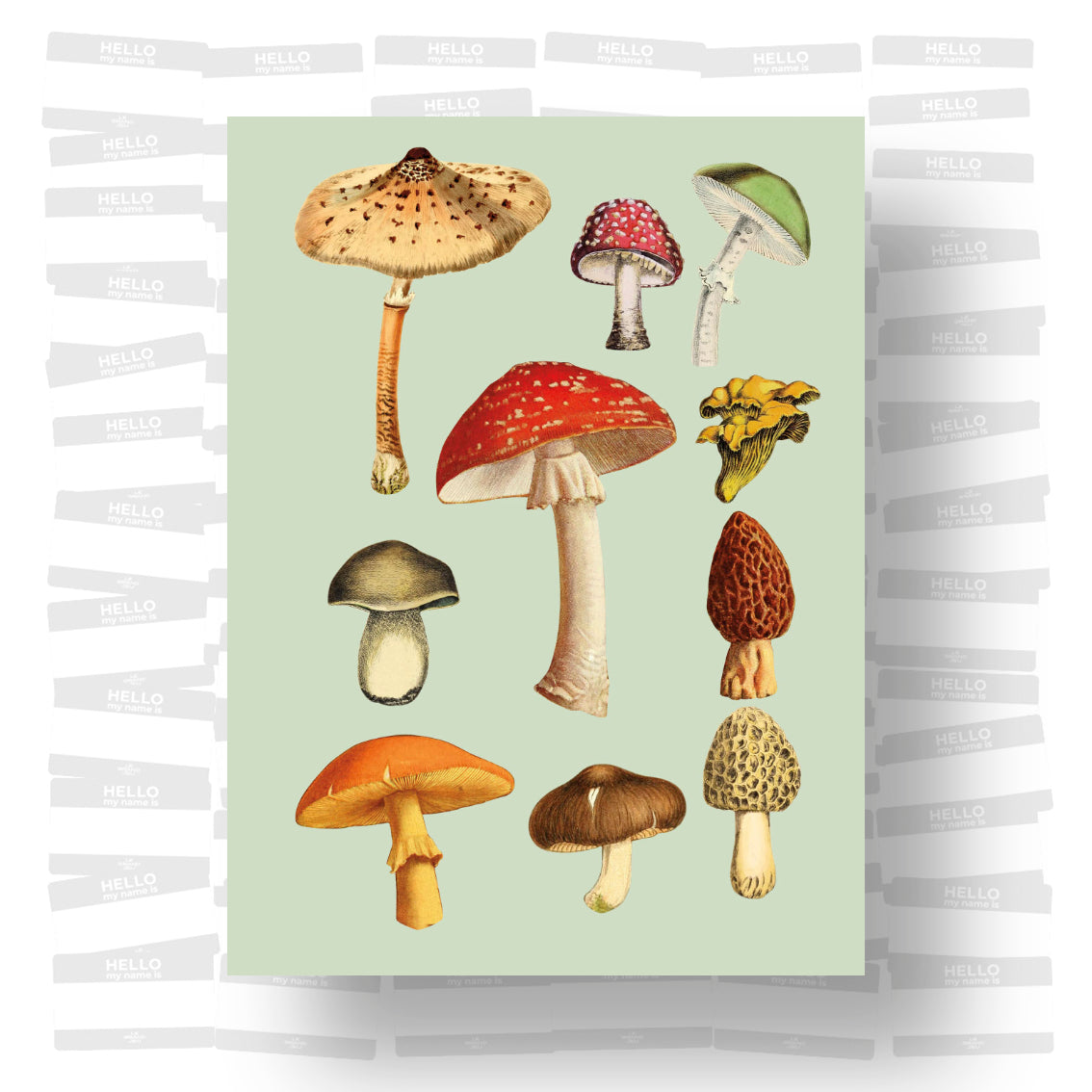 The Antiquarian Sticker Book