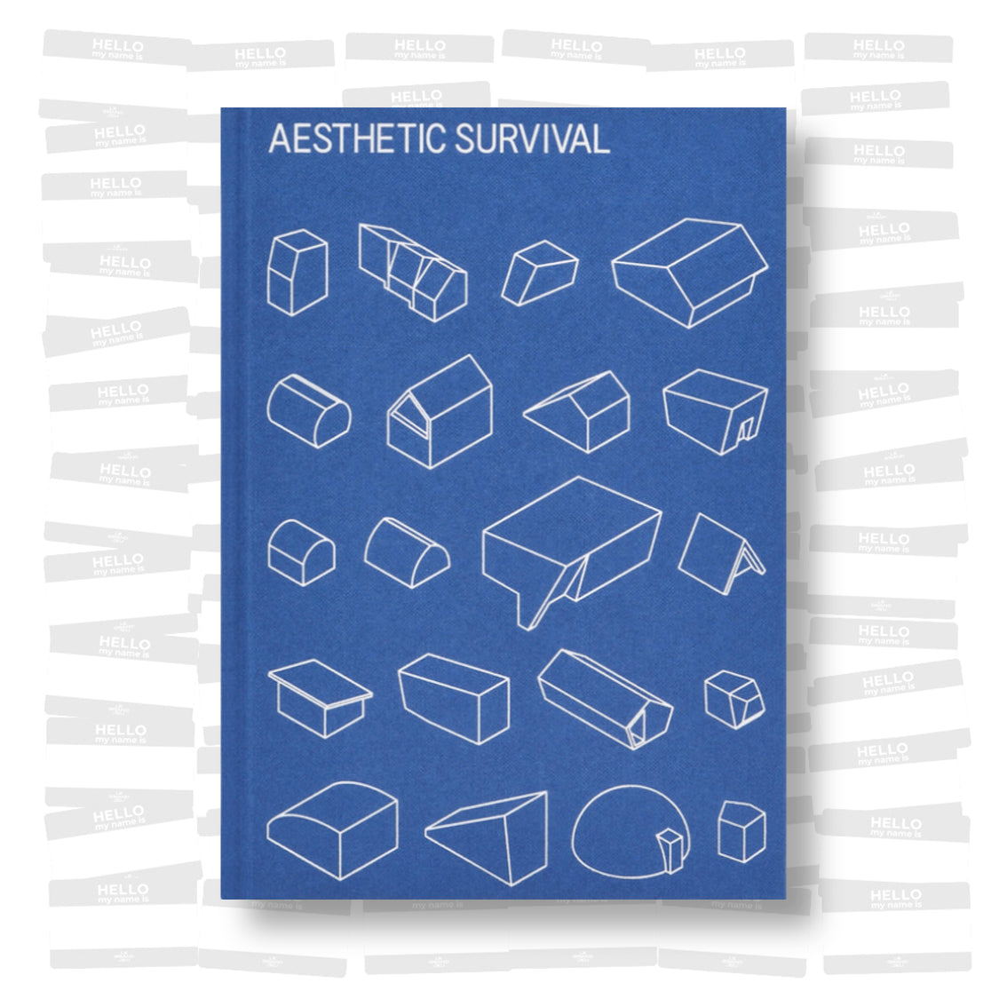 Aurora Realini and Sam Le Roy - Aesthetic Survival