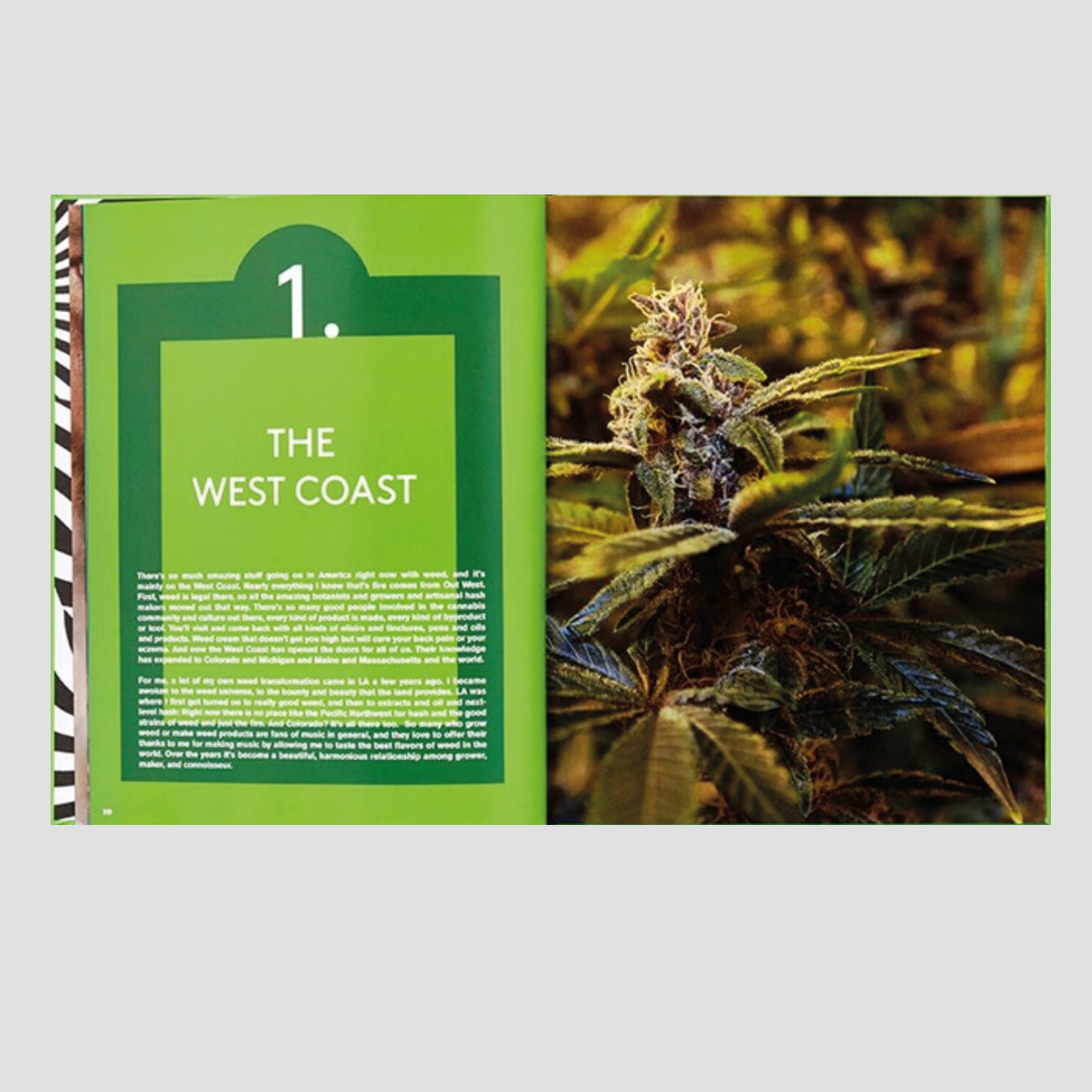 Action Bronson - Stoned Beyond Belief