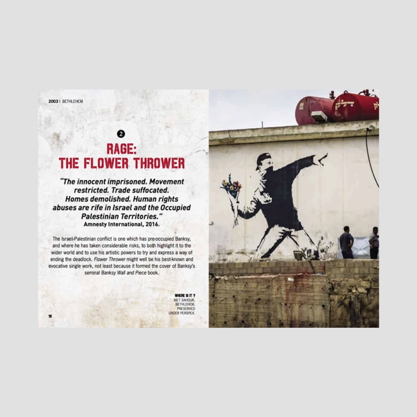 Desperately Seeking Banksy