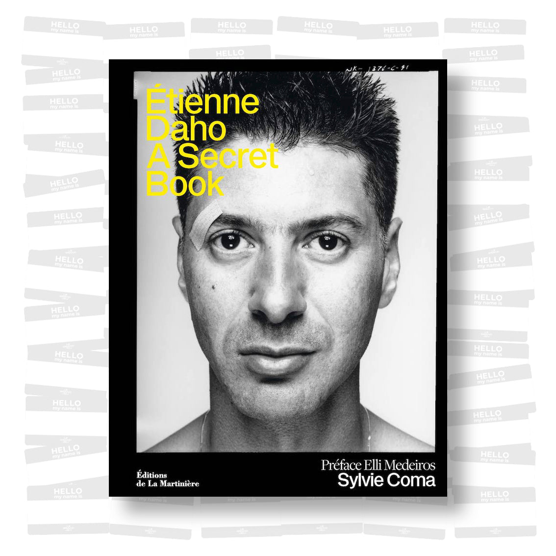 Étienne Daho, A Secret Book