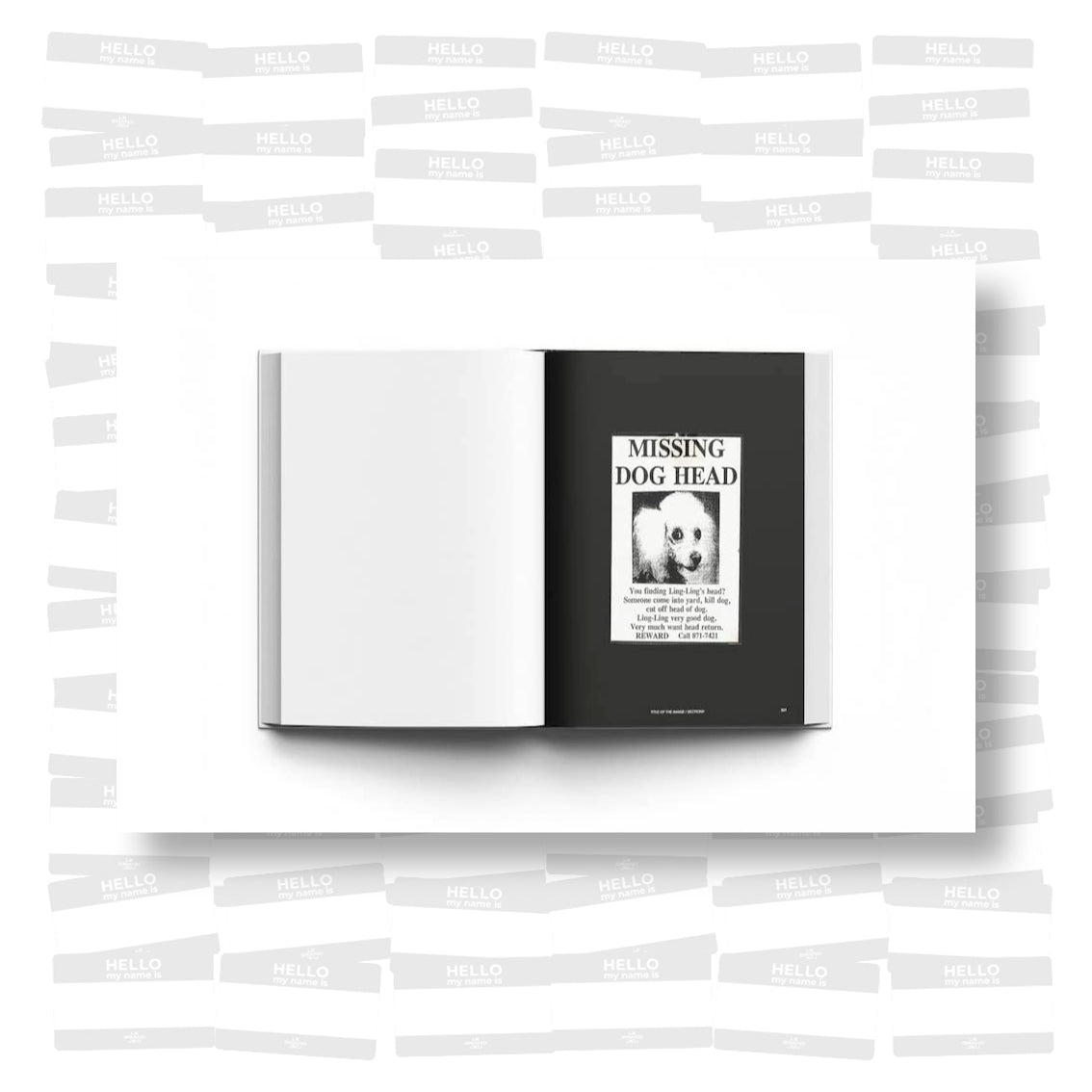 Kenneth Goldsmith - NYC Street Poets & Visionaries