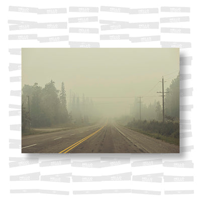 Kourtney Roy - The Oher End of the Rainbow