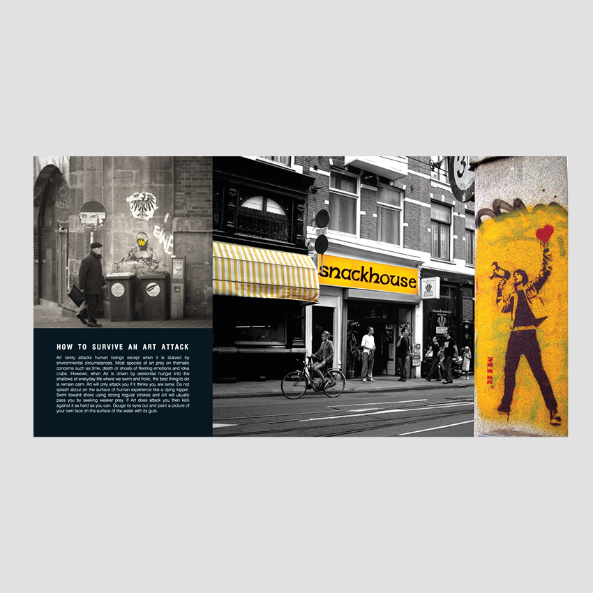 Patrick Potter - Untitled street art in the counter culture 