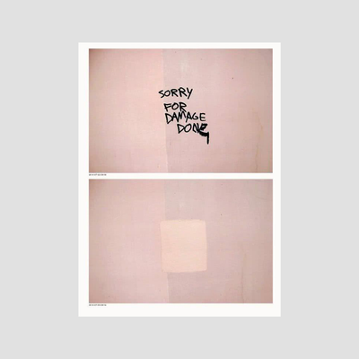 Sorry for damage done