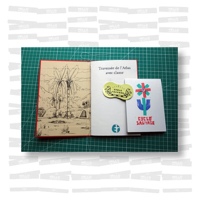 Traversée de L'Atlas avec classe