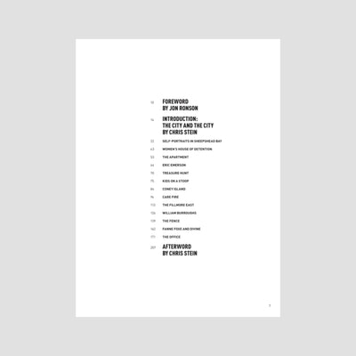 Chris Stein - Point of View