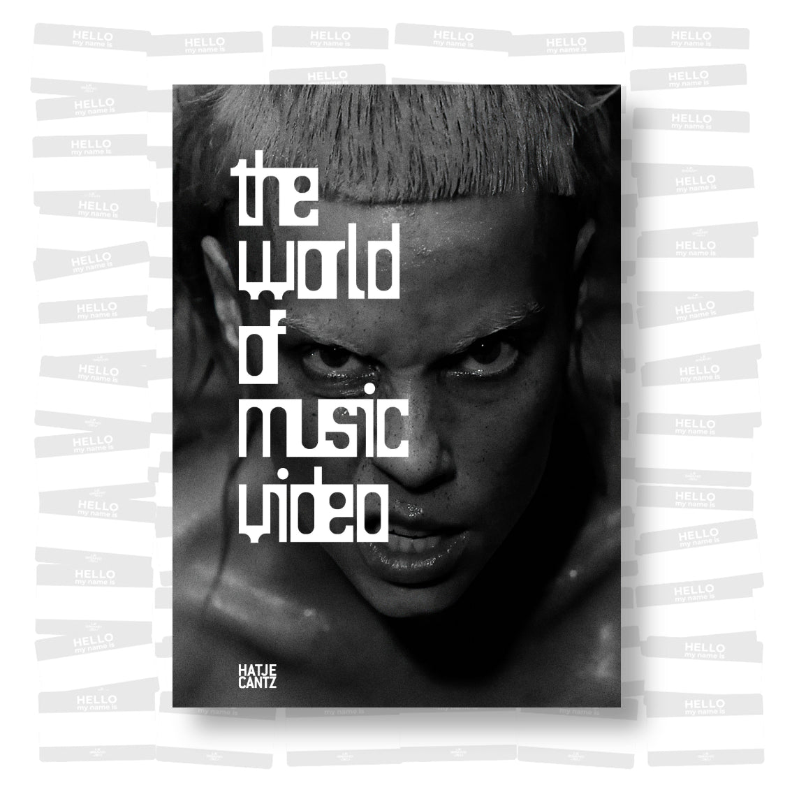 The World of Music Video