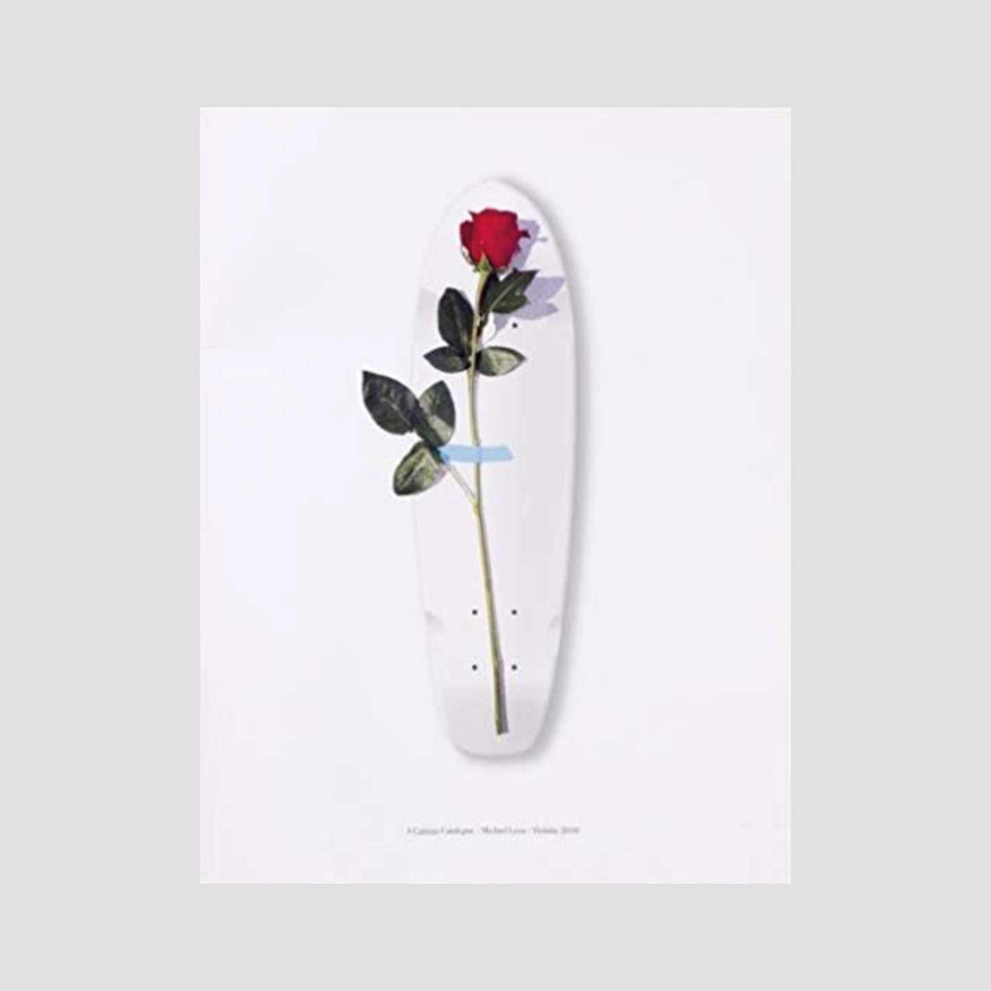 Michael Leon - A Curious Catalogue