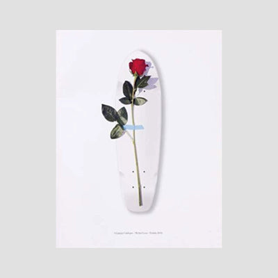 Michael Leon - A Curious Catalogue