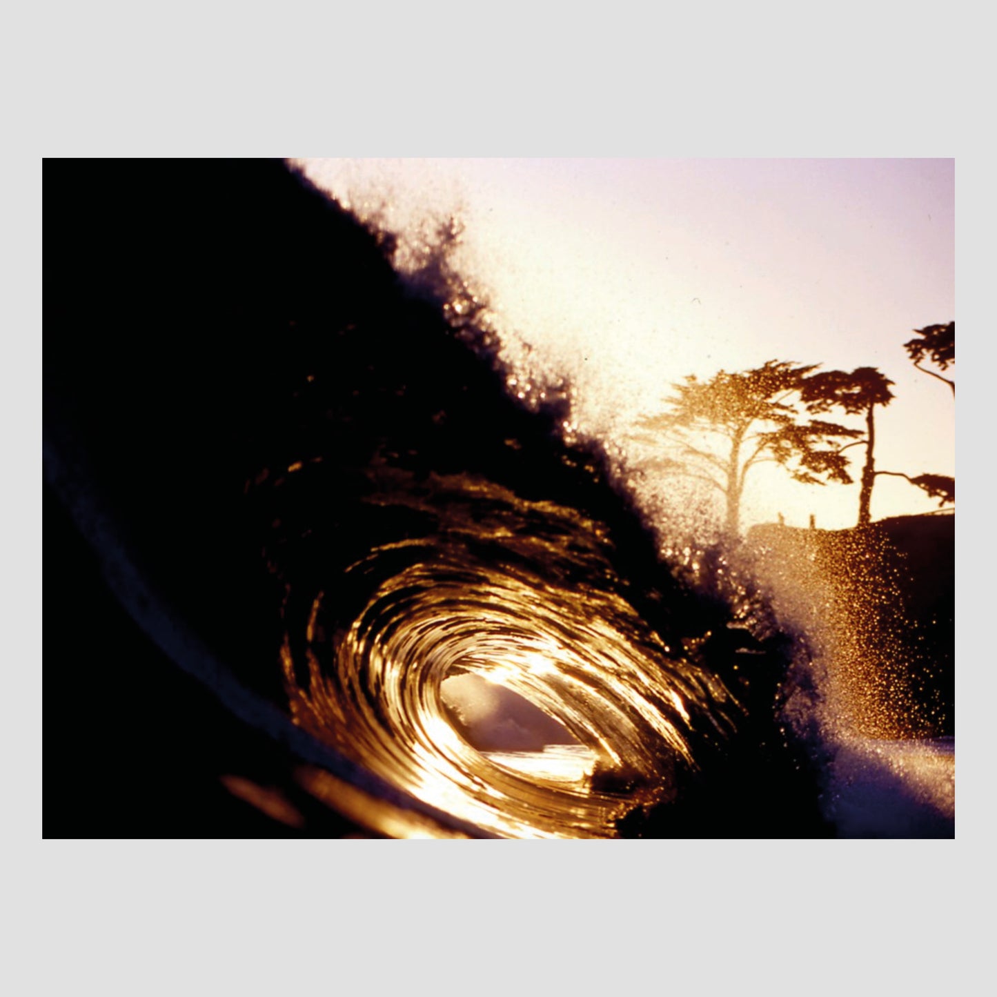 Patrick Trefz - Surfer's Blood