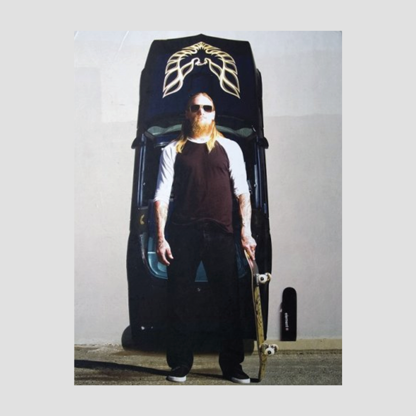 Skatebook: The Mike Vallely Volume