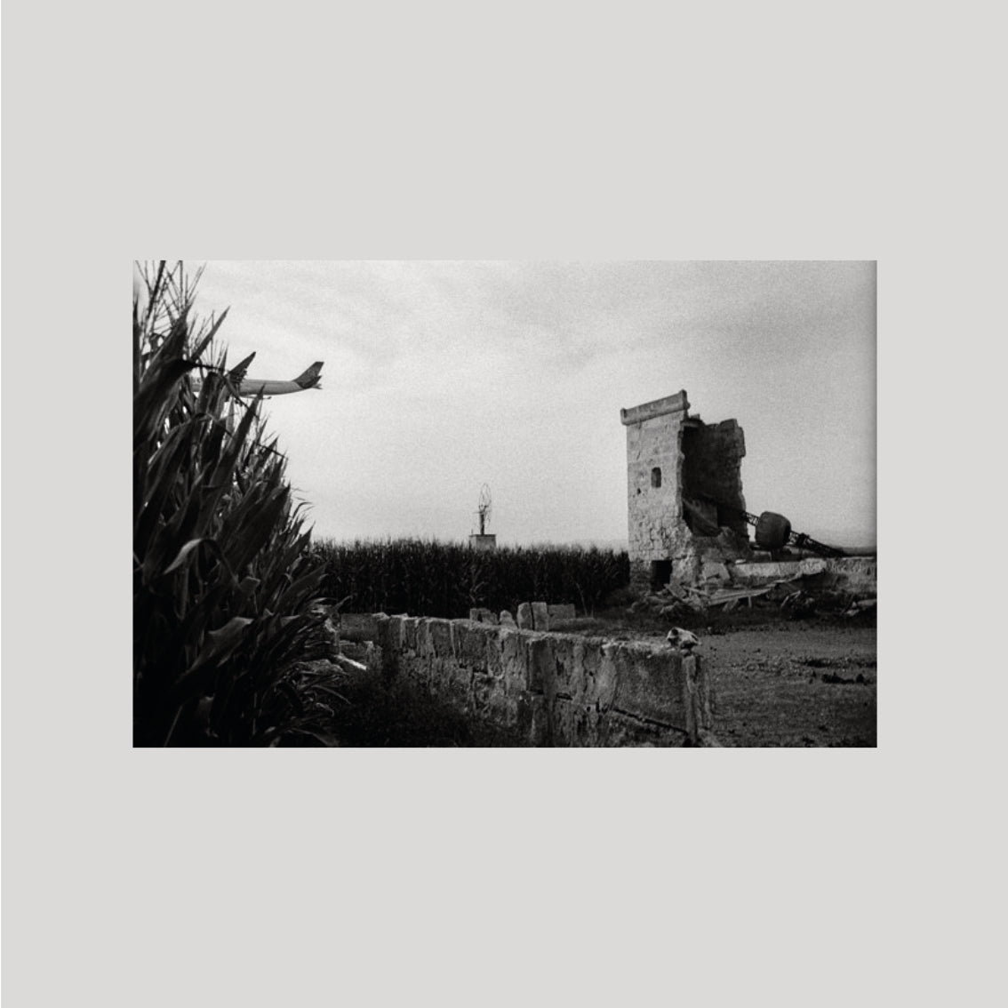 Tomeu Coll - Badlands: Raised by Bones