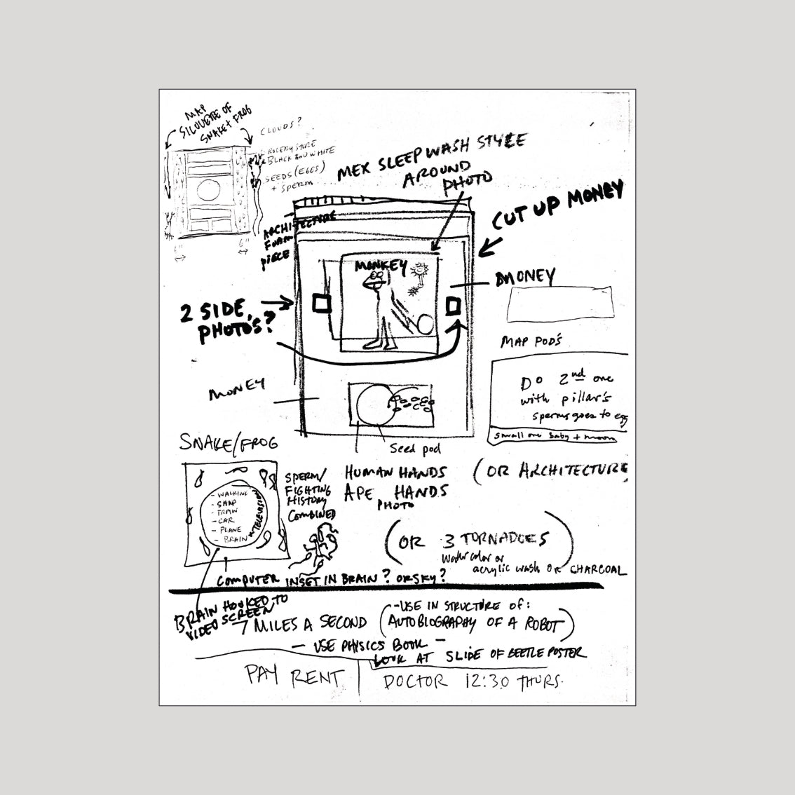 David Wojnarowicz - In the Shadow of Forward Motion