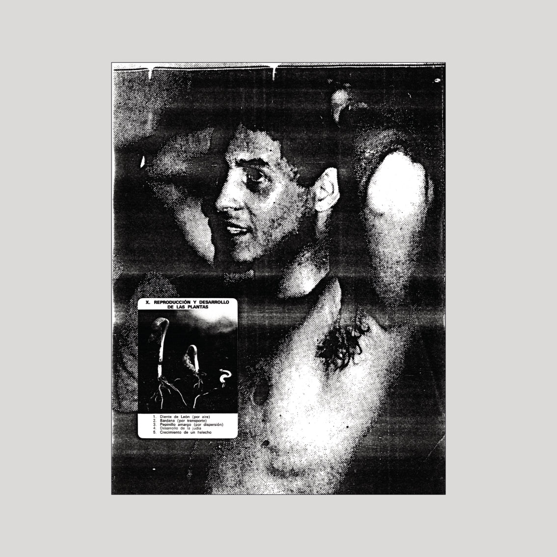 David Wojnarowicz - In the Shadow of Forward Motion