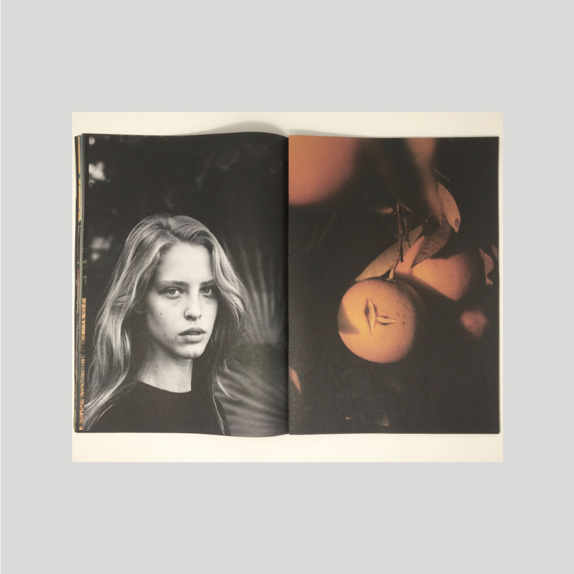 Quentin De Briey - Thank you for your business III