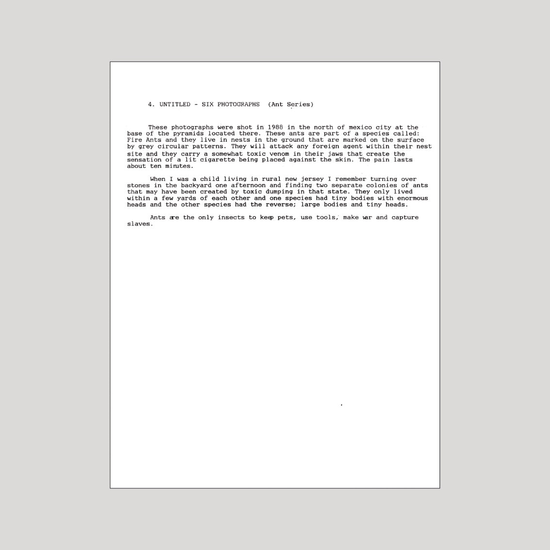 David Wojnarowicz - In the Shadow of Forward Motion