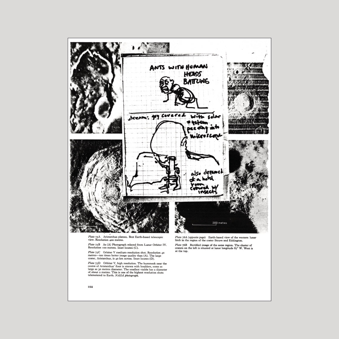 David Wojnarowicz - In the Shadow of Forward Motion