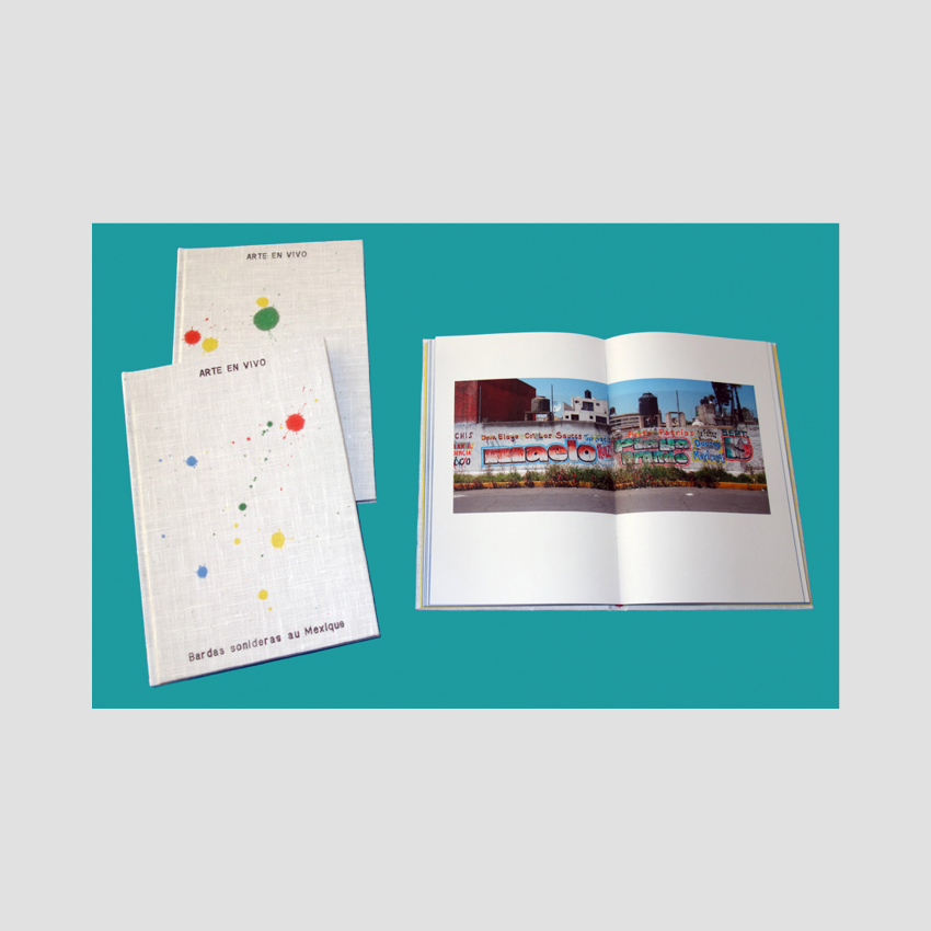 ARTE EN VIVO - Bardas sonideras au Mexique