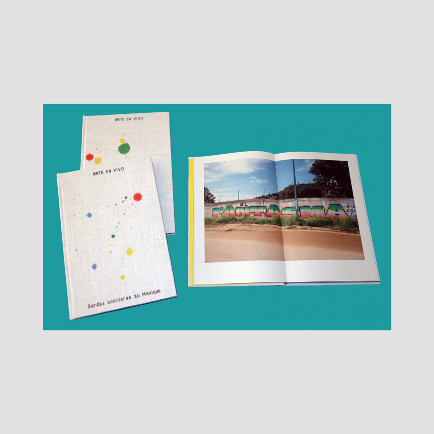 ARTE EN VIVO - Bardas sonideras au Mexique