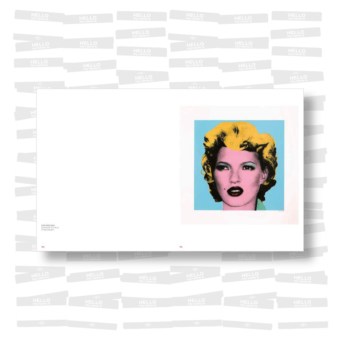 The Art of Banksy : A visual protest