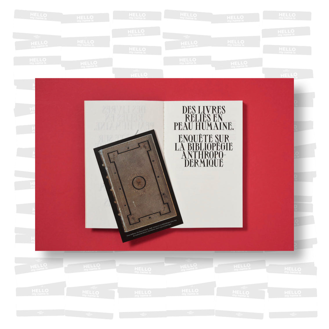 Des livres reliés en peau humaine. Enquête sur la bibliopégie anthropodermique