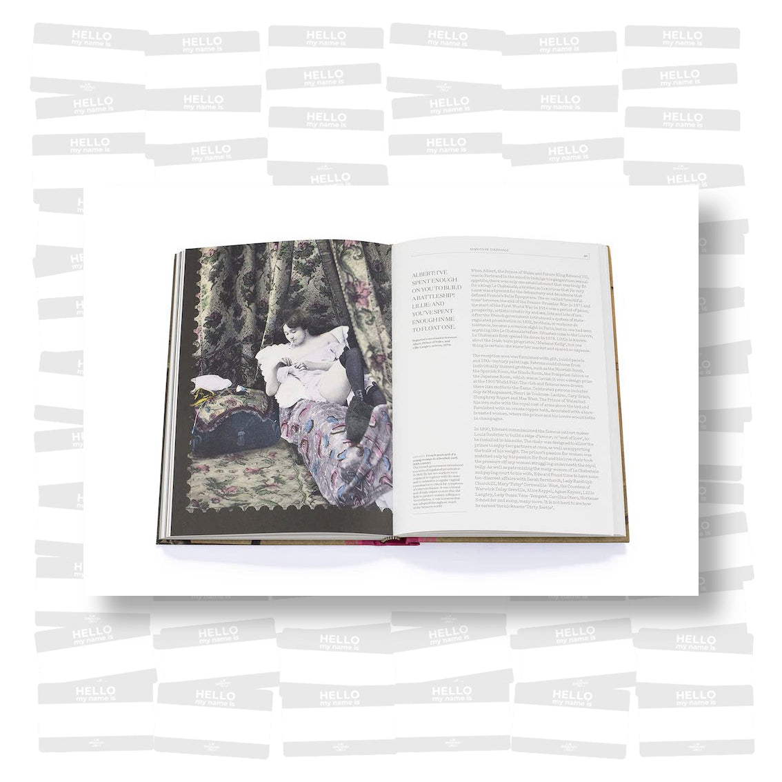 Harlots, Whores & Hackabouts A History of Sex for Sale