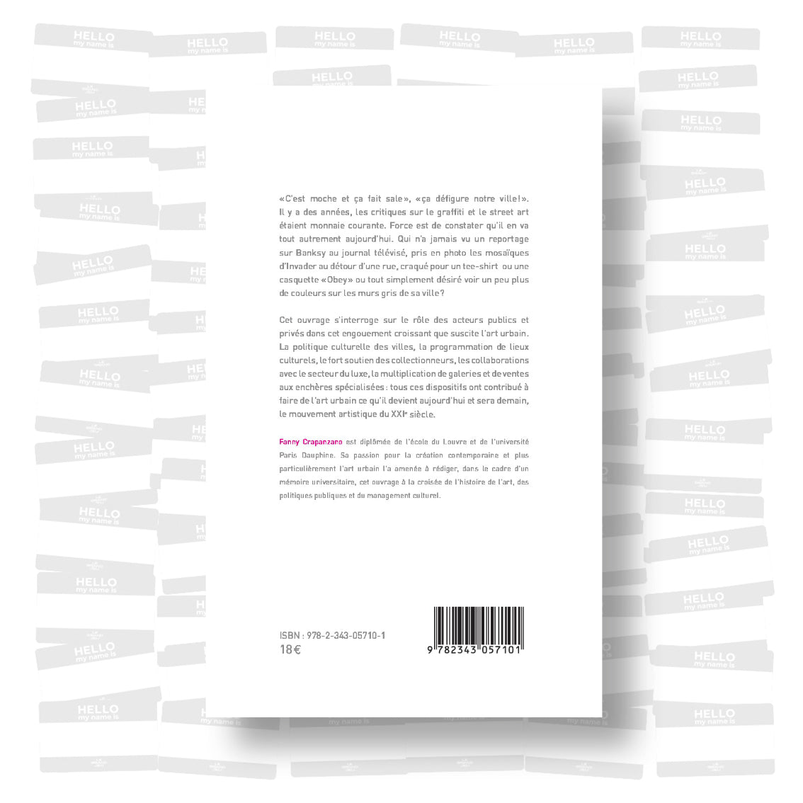 Fanny Crapanzano - Street art et graffiti : L'invasion des sphères publiques et privées par l'art urbain
