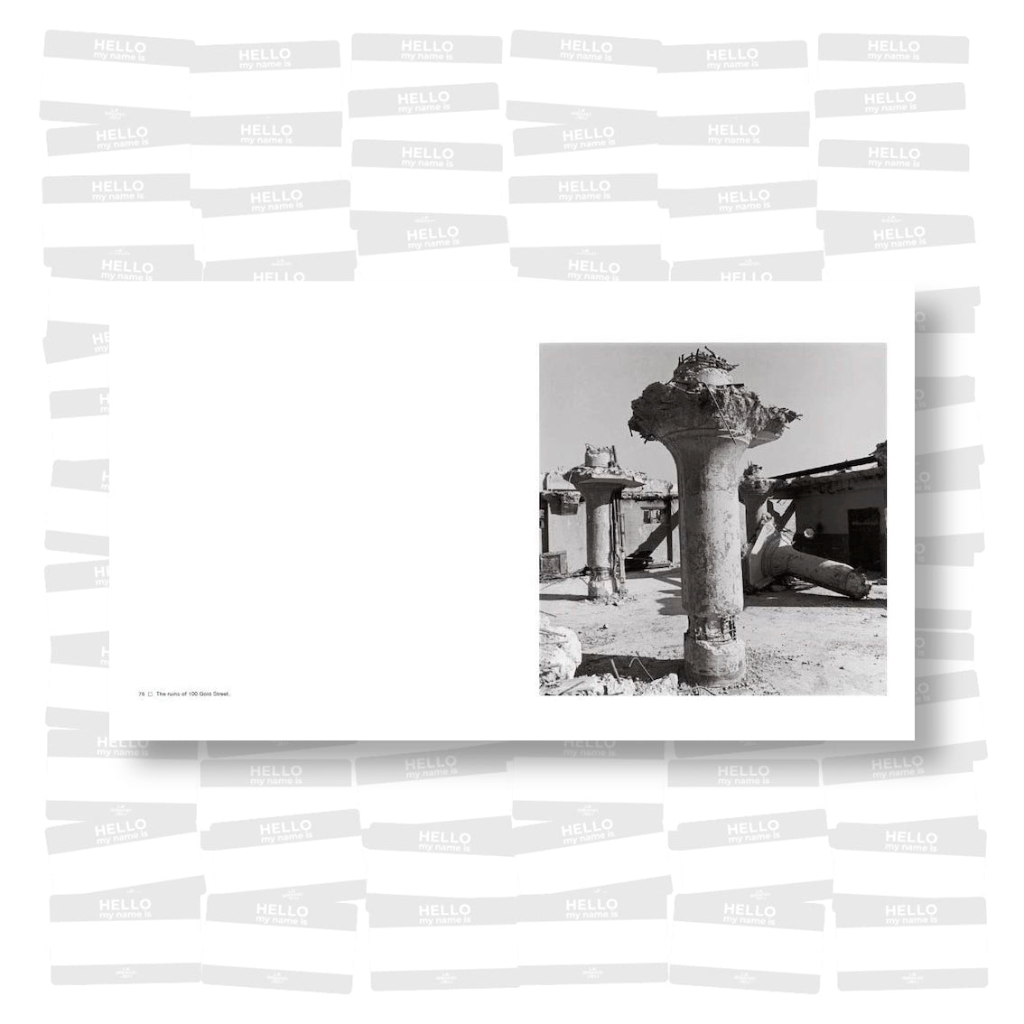 Danny Lyon - The Destruction of Lower Manhattan