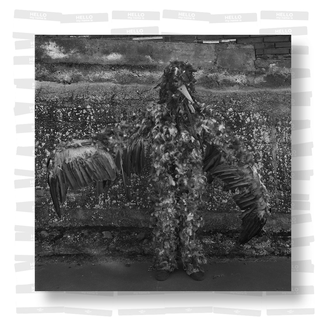 Yannick Cormier - Tierra Mágica