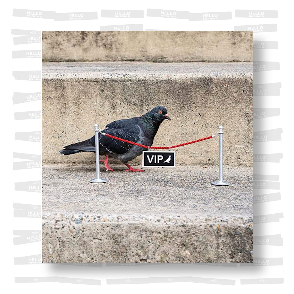 Le rire urbain: Quand le street art fait de l'humour