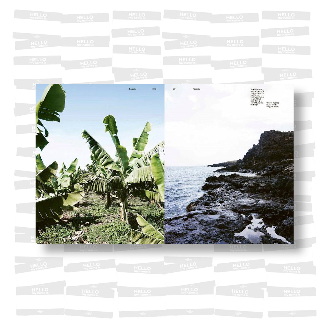 Surf & Stay 7 road trips in Europe