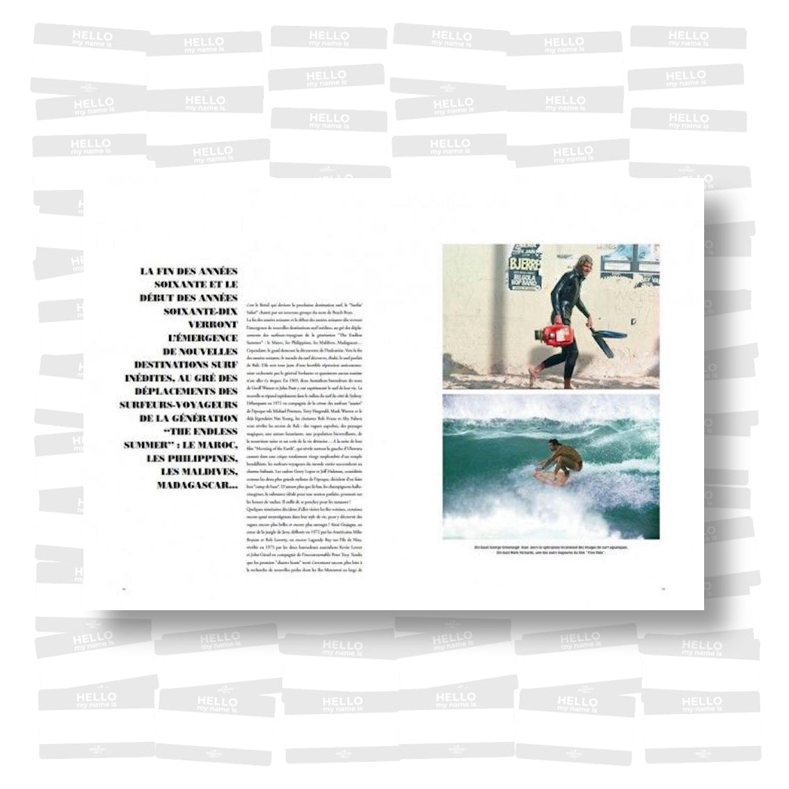 The Endless Summer. La légende du Surf