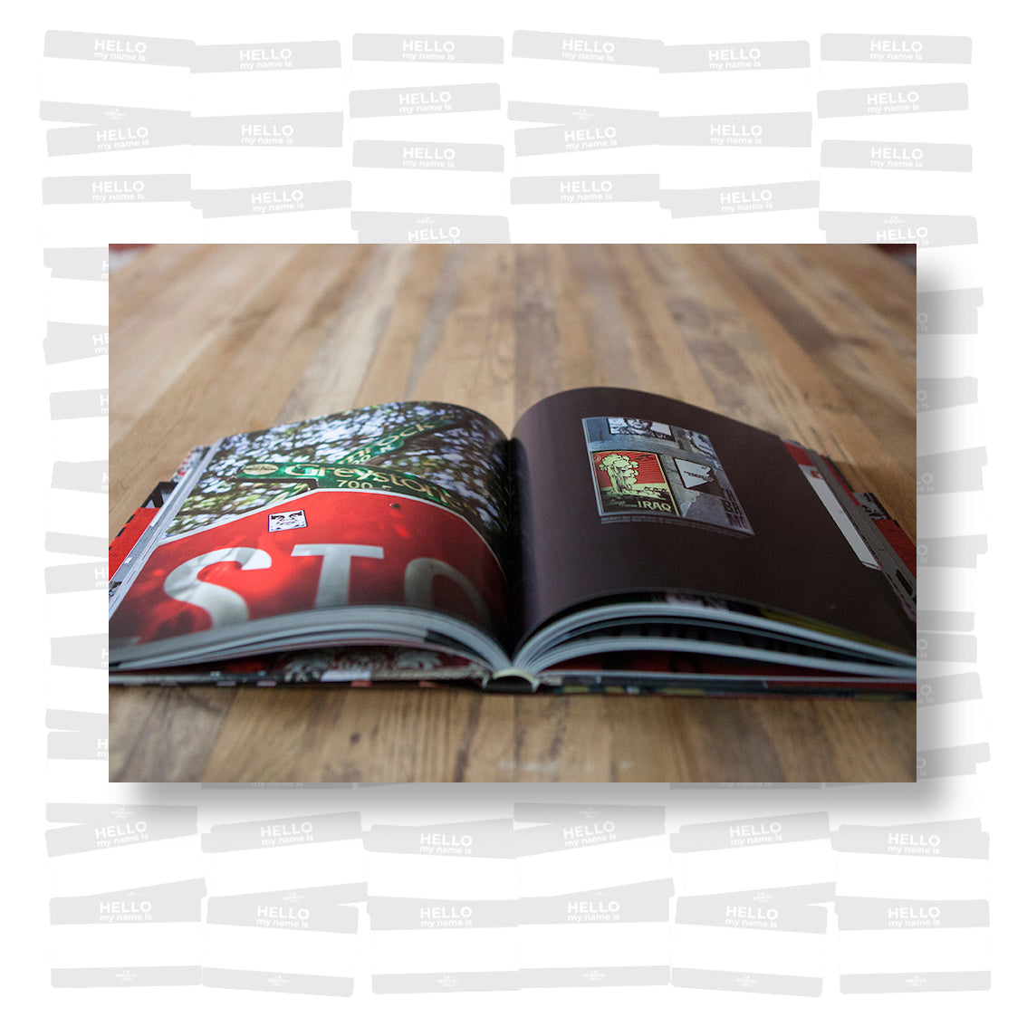 Shepard Fairey, Inc.: Artist, Professional, Vandal