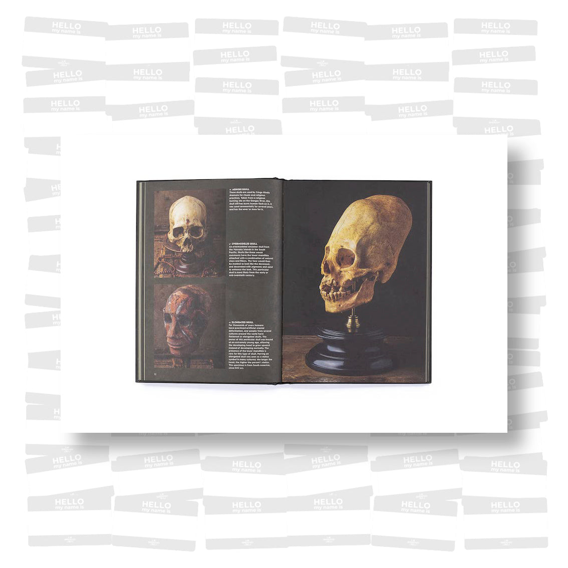 Skulls: Portraits of the Dead and the Stories They Tell