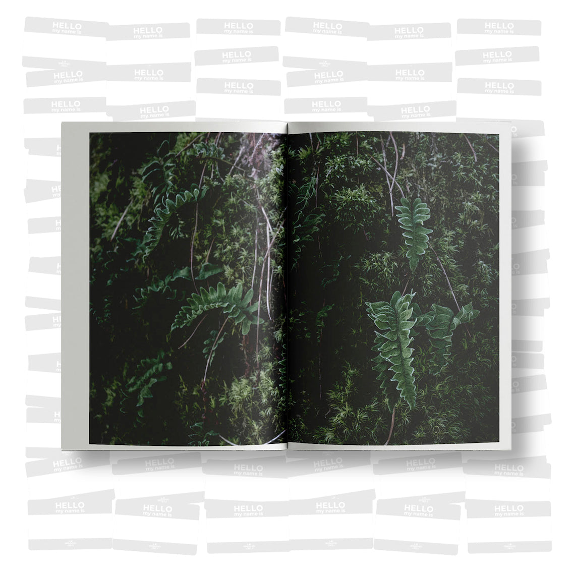 Steph Cop - IX arbre (SIGNED)