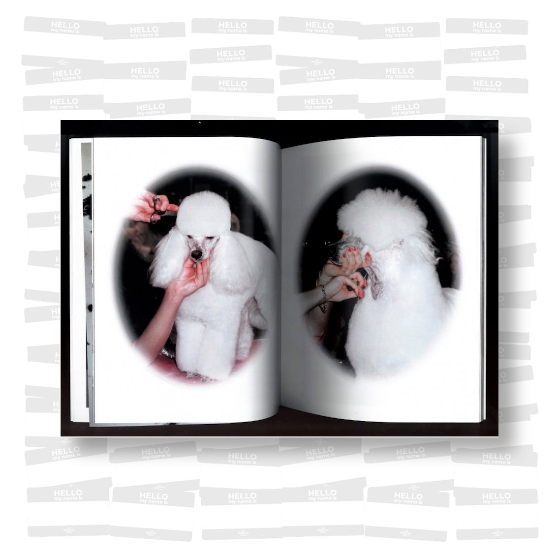 Olivia Hespel-Obregon - Amours chiens