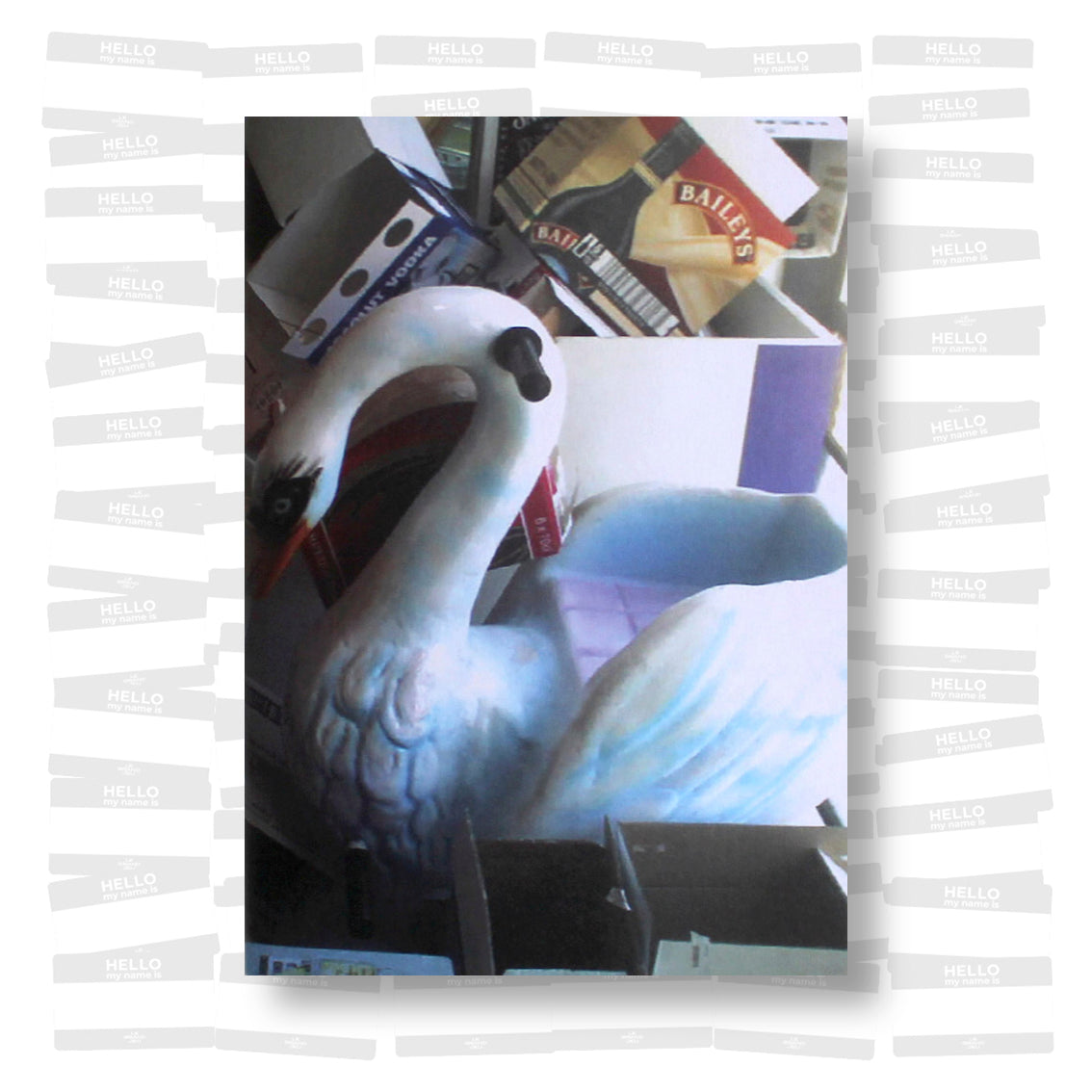 A year in someone's life