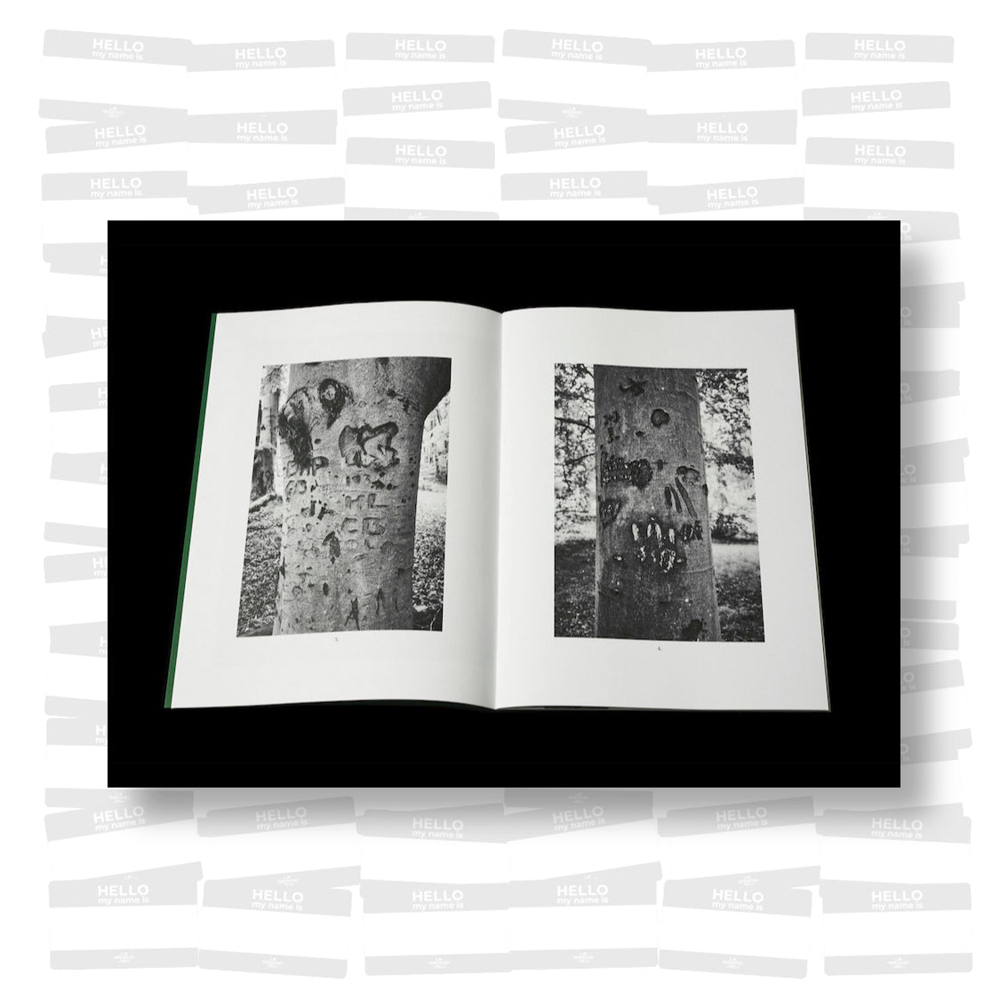 Per Englund - Swedish Arborglyphs