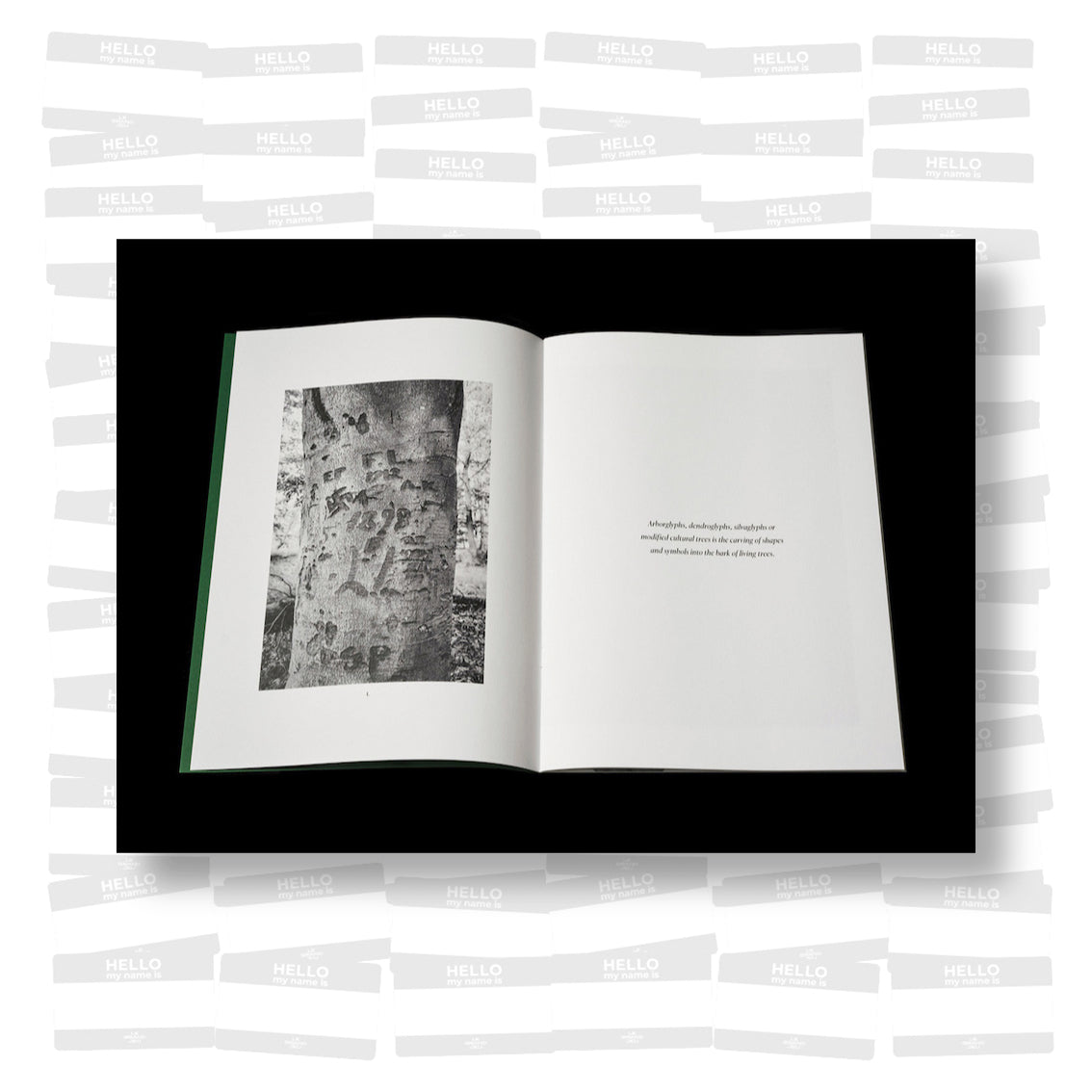 Per Englund - Swedish Arborglyphs