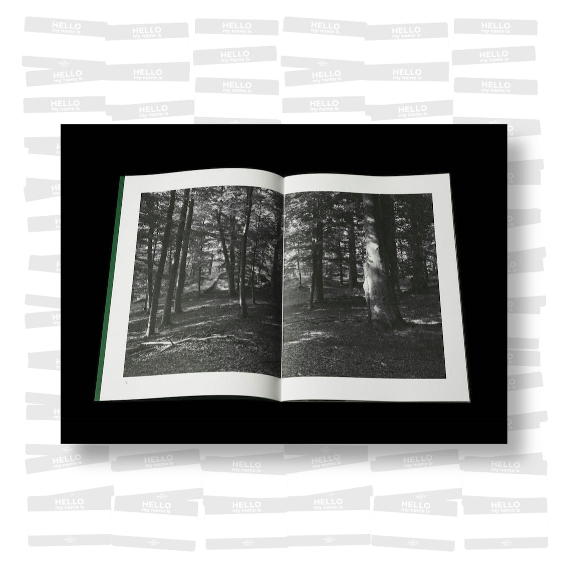 Per Englund - Swedish Arborglyphs