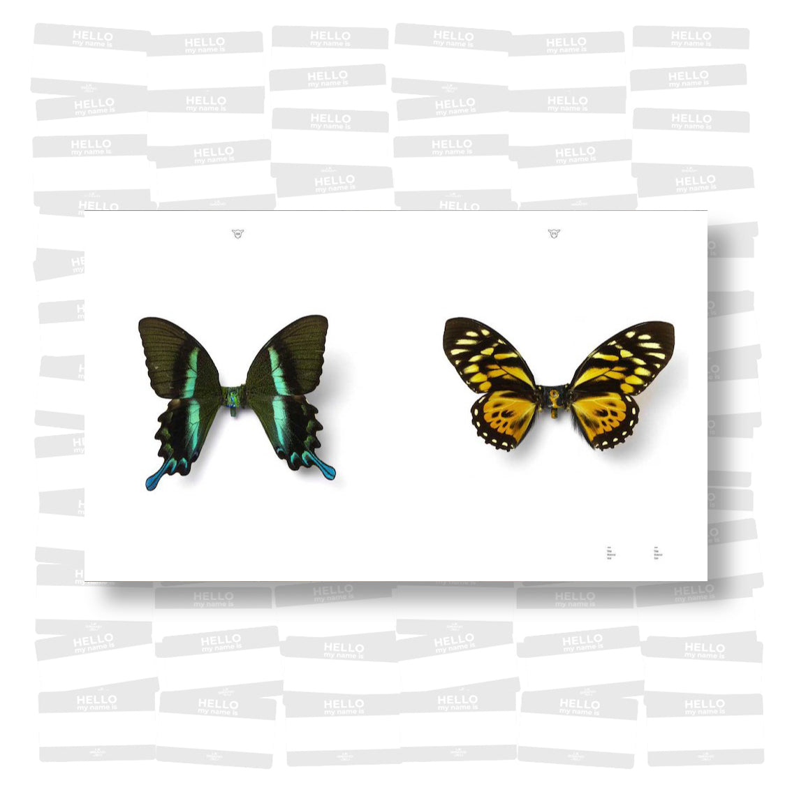 The art of D*Face: One Man & His Dog