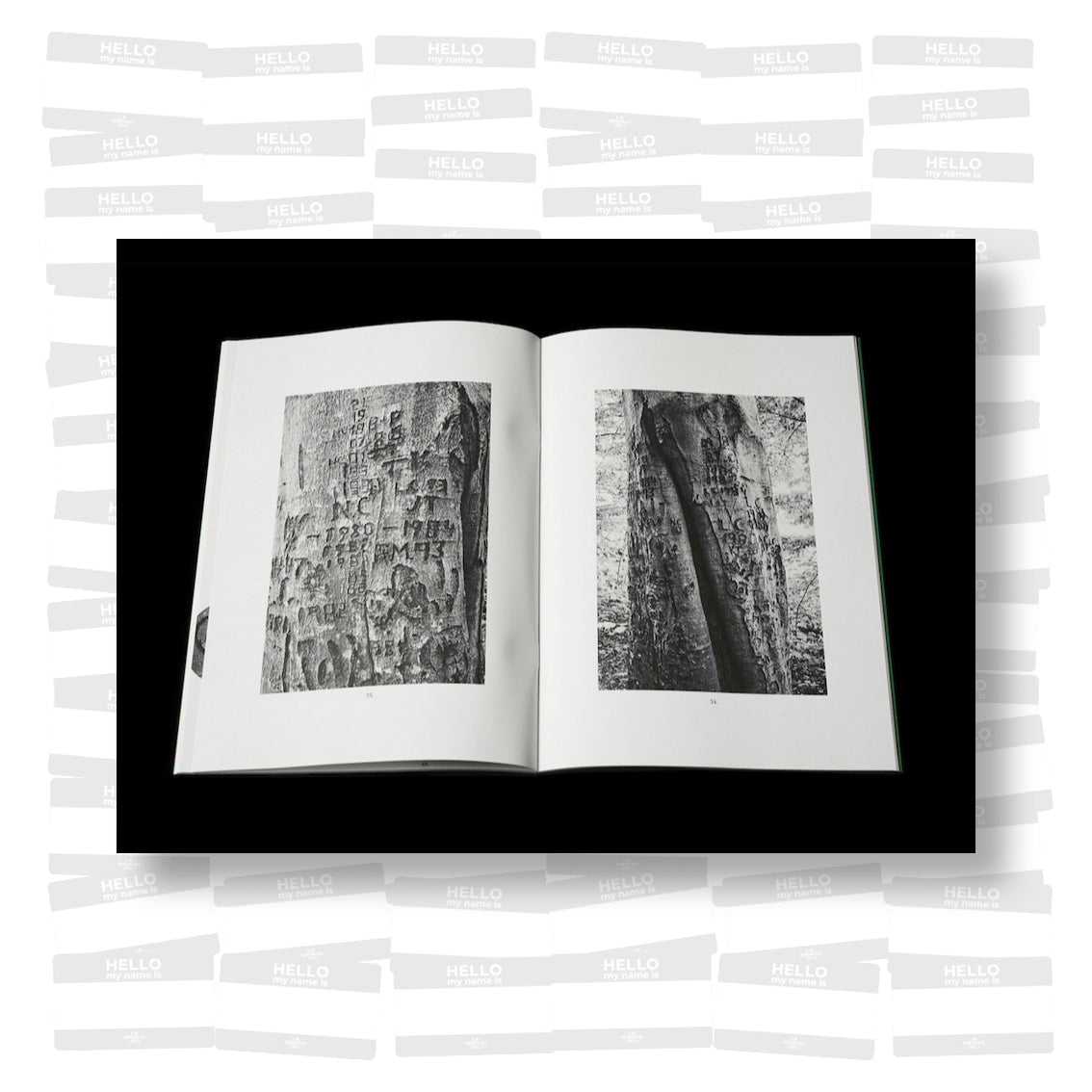 Per Englund - Swedish Arborglyphs